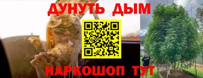 крисы Комсомольск-на-Амуре