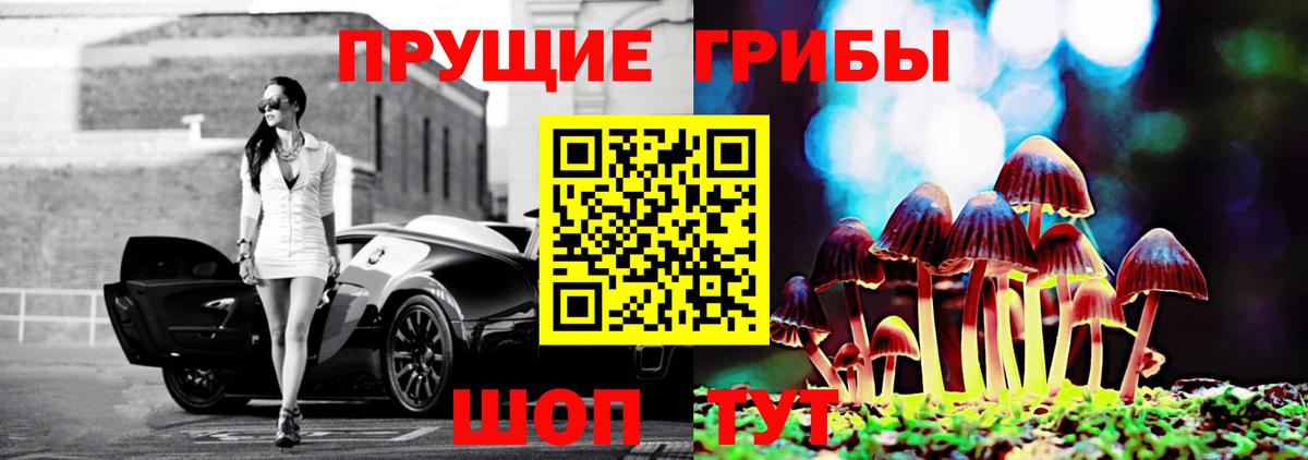 Ярославль  Галлюциногенные грибы ЛСД  Вход с VPN 